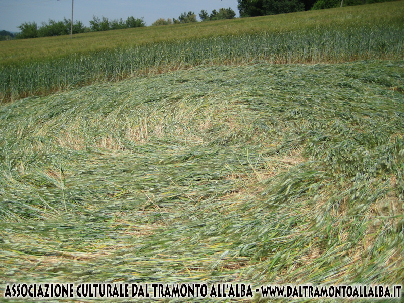 Jesi (Ancona) Marche, Italy crop circle, aerial photo 5