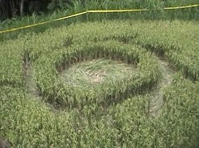 Tegalrejo, Indonesia crop circle, aerial photo 2