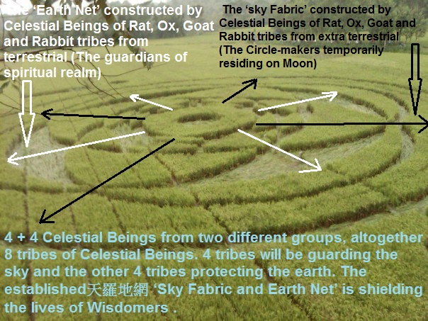 Krasakan, Indonesia crop circle, aerial photo 10