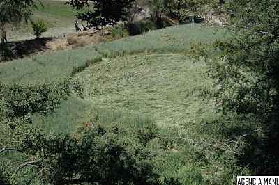 Tlapanaloya Tequixquiac Edo, Mexico crop circle, aerial photo 11