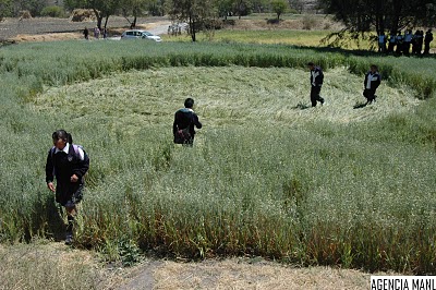 Tlapanaloya Tequixquiac Edo, Mexico crop circle, aerial photo 10