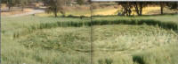 Tlapanaloya Tequixquiac Edo, Mexico crop circle, aerial photo 14