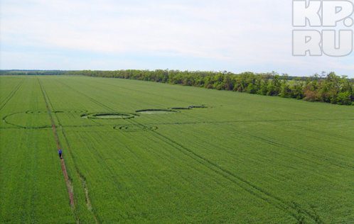 Stavropol, Novoaleksandrovsk, Russia crop circle, aerial photo 8