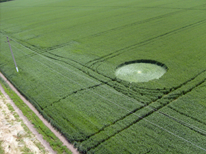 Stavropol, Novoaleksandrovsk, Russia crop circle, aerial photo 2