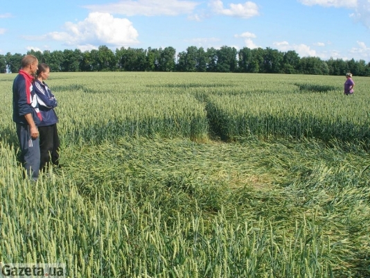 Kordyshevka (Ukraine, Vinnitsa Region), Russia crop circle, aerial photo 9