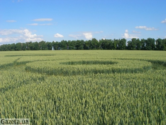 Kordyshevka (Ukraine, Vinnitsa Region), Russia crop circle, aerial photo 4