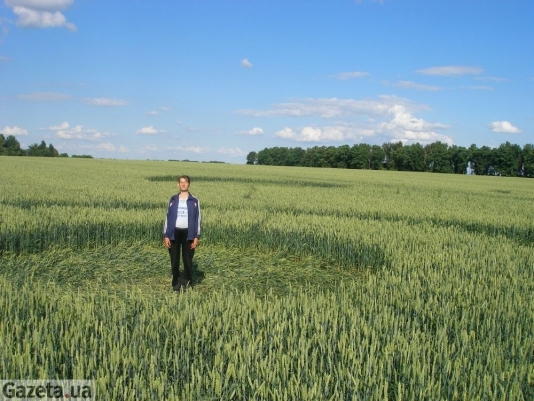 Kordyshevka (Ukraine, Vinnitsa Region), Russia crop circle, aerial photo 5