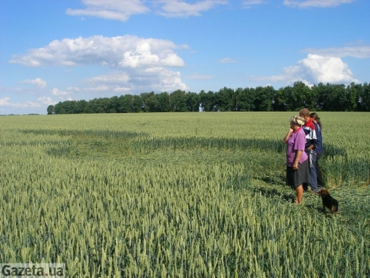 Kordyshevka (Ukraine, Vinnitsa Region), Russia crop circle, aerial photo 7