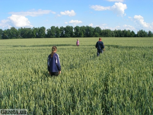 Kordyshevka (Ukraine, Vinnitsa Region), Russia crop circle, aerial photo 8