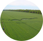 Stavropol, Novoaleksandrovsk, Russia crop circle, aerial photo 16