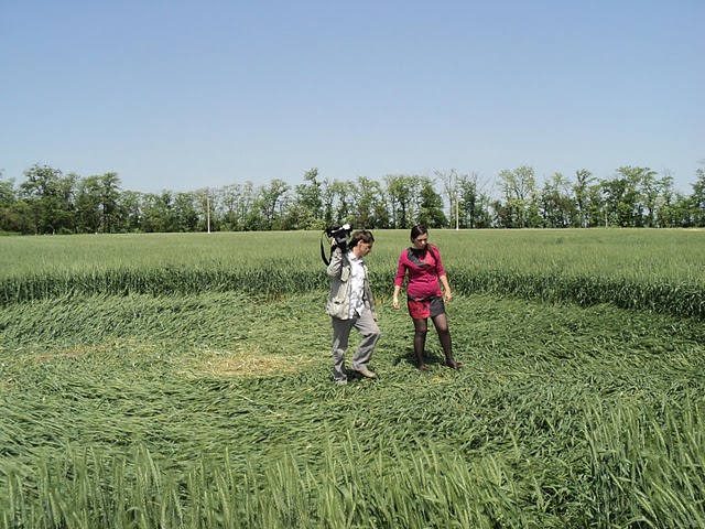 Stavropol, Novoaleksandrovsk, Russia crop circle, aerial photo 6