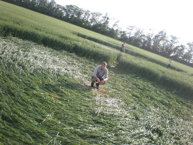 Stavropol, Novoaleksandrovsk, Russia crop circle, aerial photo 4