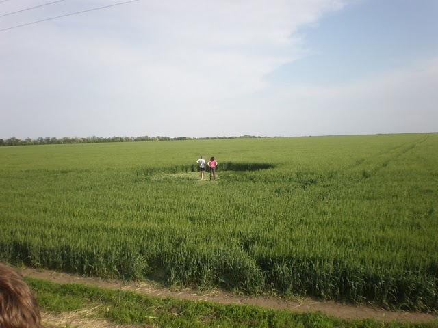 Stavropol, Novoaleksandrovsk, Russia crop circle, aerial photo 5