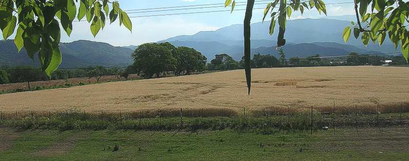 Chicoana, Salta.Argentina, Argentina crop circle, aerial photo 2
