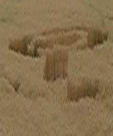 Chicoana, Salta.Argentina, Argentina crop circle, aerial photo 4