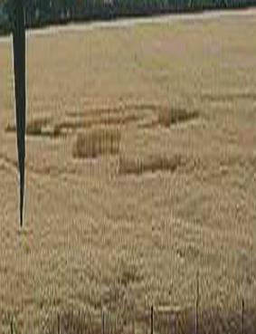 Chicoana, Salta.Argentina, Argentina crop circle, aerial photo 5