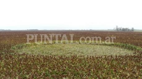 The Partridge, Argentina crop circle, aerial photo 2