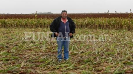 The Partridge, Argentina crop circle, aerial photo 3