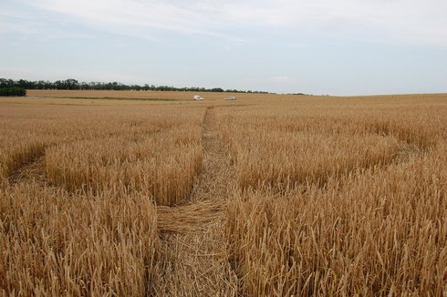 Hul, Nové Zámky', Slovakia crop circle, aerial photo 4