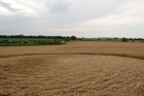 Hul, Nové Zámky', Slovakia crop circle, aerial photo 5