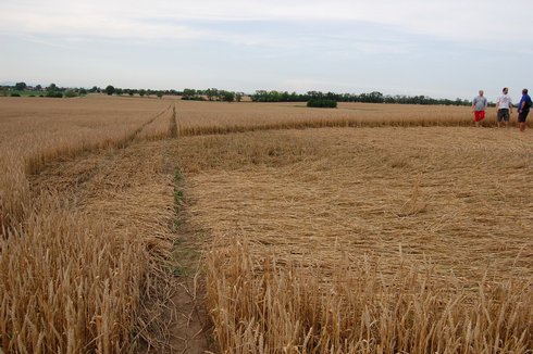 Hul, Nové Zámky', Slovakia crop circle, aerial photo 2