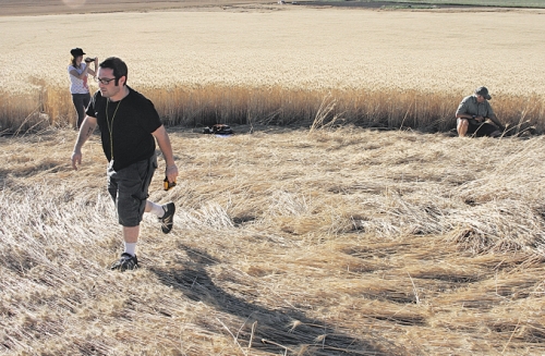 Geibs’ fields, Washington, USA crop circle, aerial photo 11
