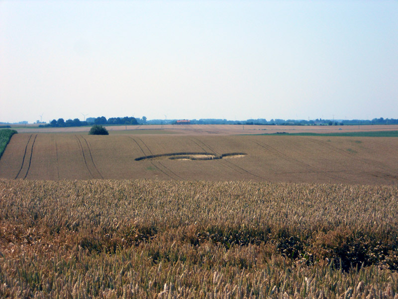 Rue de Momalle à Hodeige, Belguim, Belgium crop circle, aerial photo 2