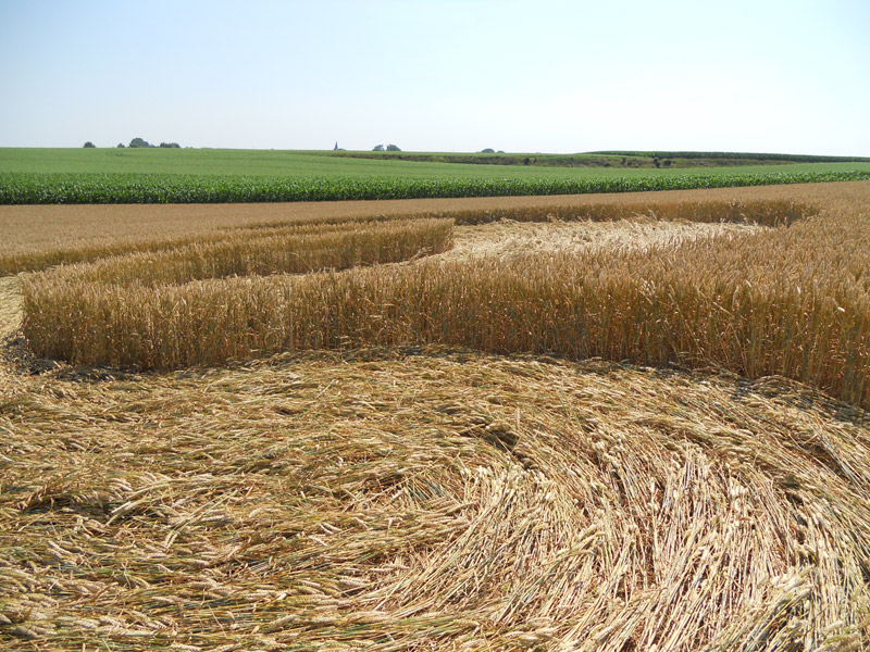Rue de Momalle à Hodeige, Belguim, Belgium crop circle, aerial photo 5