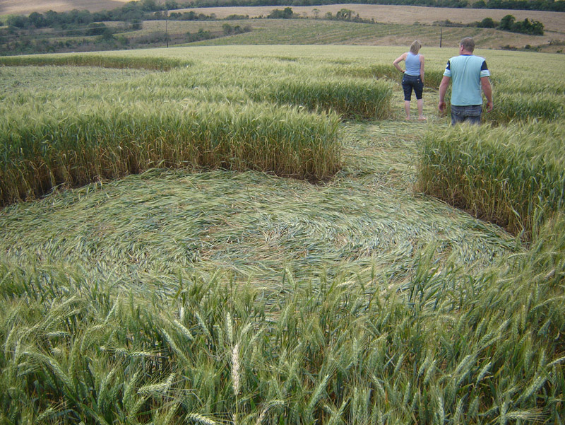 Ipuaçu, Brazil crop circle, aerial photo 13