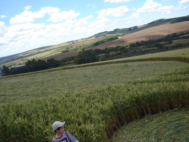 Ipuaçu, Brazil crop circle, aerial photo 12