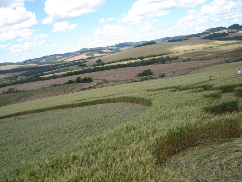 Ipuaçu, Brazil crop circle, aerial photo 10