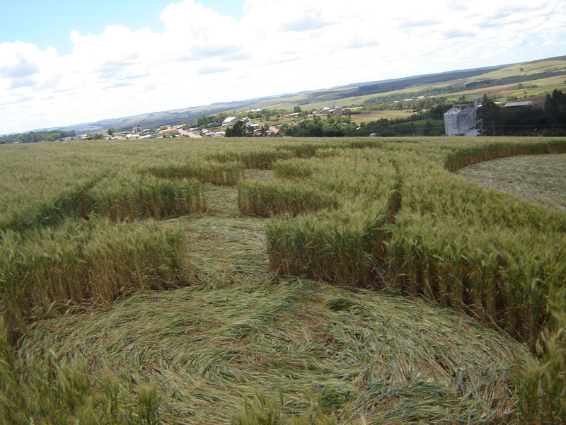 Ipuaçu, Brazil crop circle, aerial photo 9