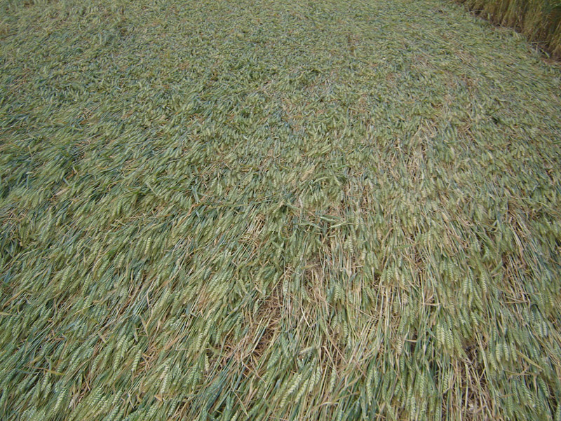 Ipuaçu, Brazil crop circle, aerial photo 7