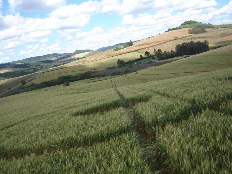 Ipuaçu, Brazil crop circle, aerial photo 6
