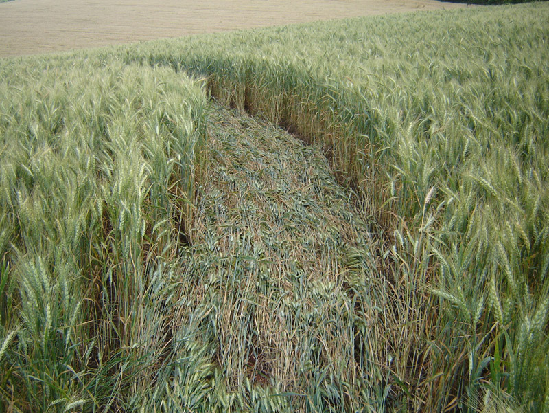 Ipuaçu, Brazil crop circle, aerial photo 5