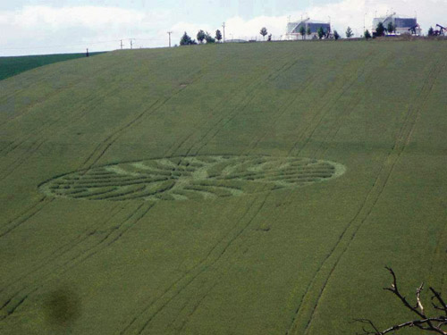 Uhřice, nr Zdanice, Czech Republic crop circle, aerial photo 2