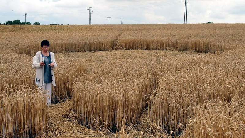 Proseč, Czech Republic crop circle, aerial photo 4