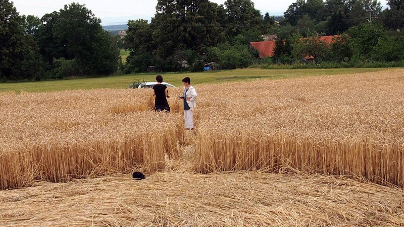Proseč, Czech Republic crop circle, aerial photo 5
