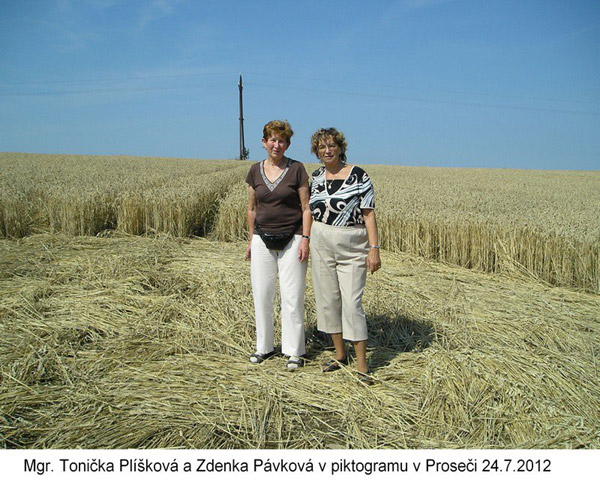 Proseč, Czech Republic crop circle, aerial photo 7