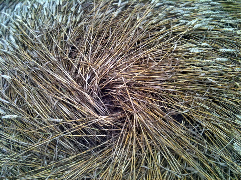 South of Sealand, Denmark crop circle, aerial photo 4