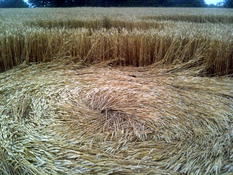 South of Sealand, Denmark crop circle, aerial photo 2