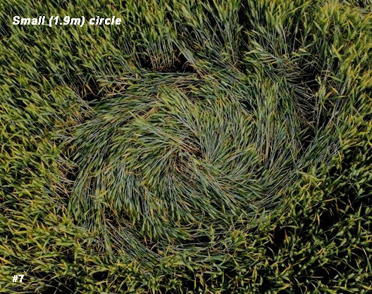 Hoeven, Netherlands crop circle, aerial photo 8