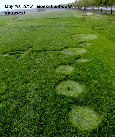 Bosschenhoofd (2), Netherlands crop circle, aerial photo 7