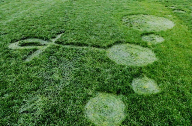 Bosschenhoofd (2), Netherlands crop circle, aerial photo 8