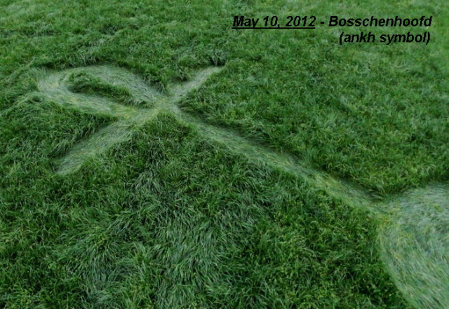 Bosschenhoofd (2), Netherlands crop circle, aerial photo 9
