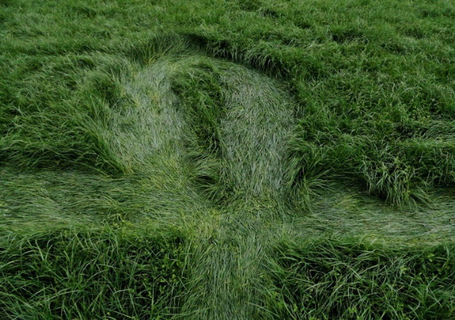 Bosschenhoofd (2), Netherlands crop circle, aerial photo 10