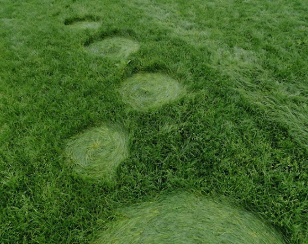 Bosschenhoofd (2), Netherlands crop circle, aerial photo 12