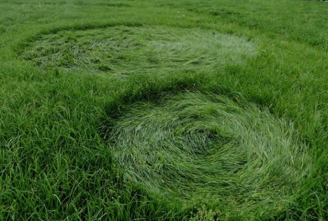 Bosschenhoofd (2), Netherlands crop circle, aerial photo 13