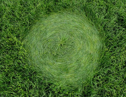 Bosschenhoofd (2), Netherlands crop circle, aerial photo 14
