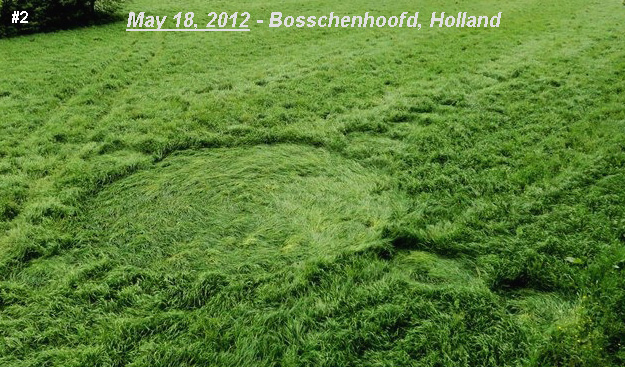 Grass Pattern at Hoeven, Noord-Brabant, Netherlands crop circle, aerial photo 15
